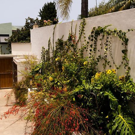 Villa Laurisilva El El Sauzal Dış mekan fotoğraf