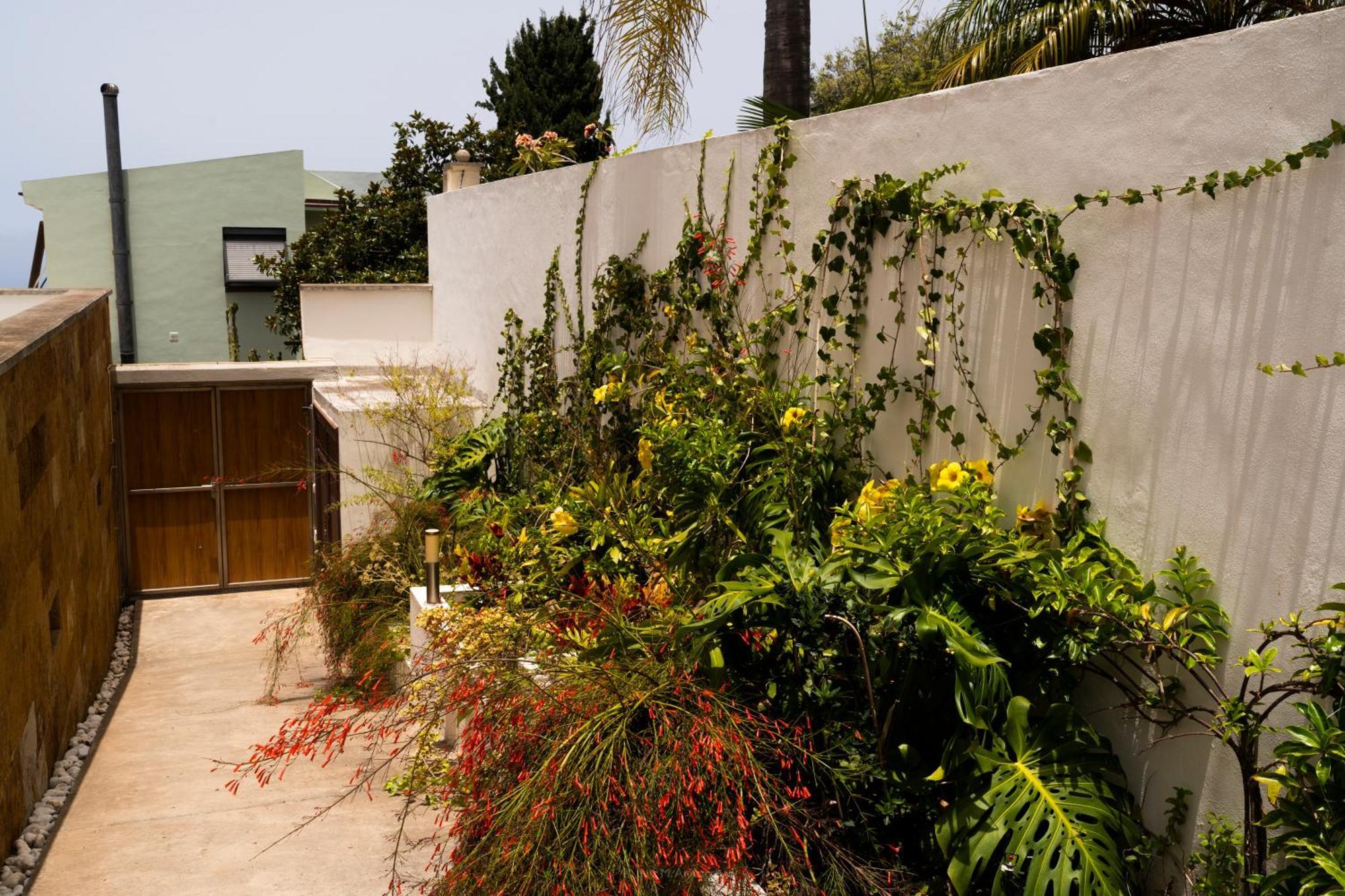Villa Laurisilva El El Sauzal Dış mekan fotoğraf